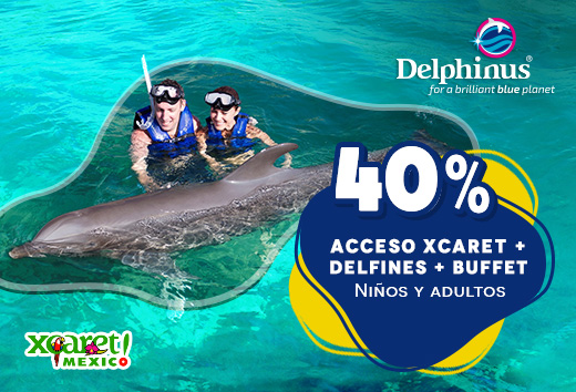 40% Xcaret Dolphin tour niÃ±o o adulto