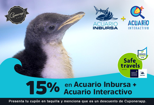 15% en Acuario InbursaÂ + Acuario Interactivo