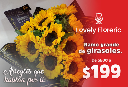 Ramo de girasoles grande de $500 a $199