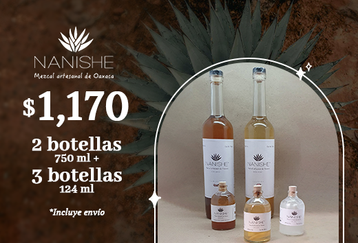 EnvÃ­o gratis y 10% de descuento