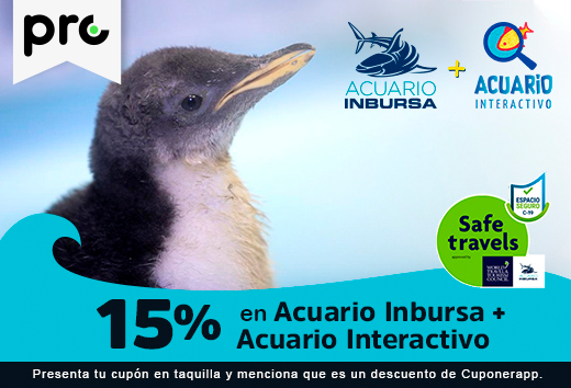 15% OFF en Acuario Inbursa y Acuario Interactivo.