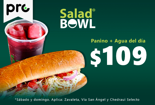Panino + agua $109