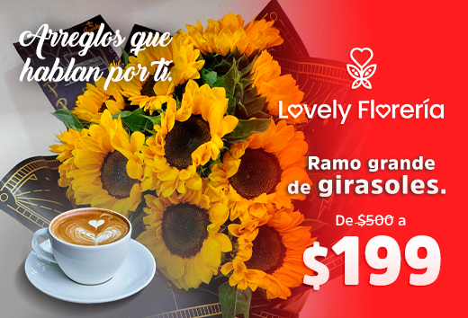 Ramo de girasoles grande de $500 a $199