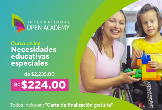 Curso online de Necesidades educativas especiales por $224