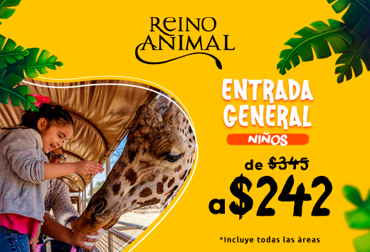 Entrada de $345 a $242