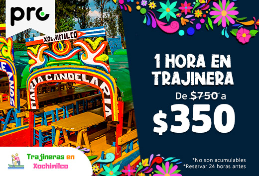 1 hora en trajinera $350