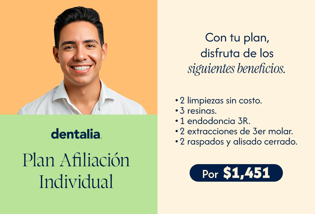 Plan individual $1,451