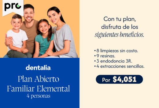 Plan familiar elemental $4,051