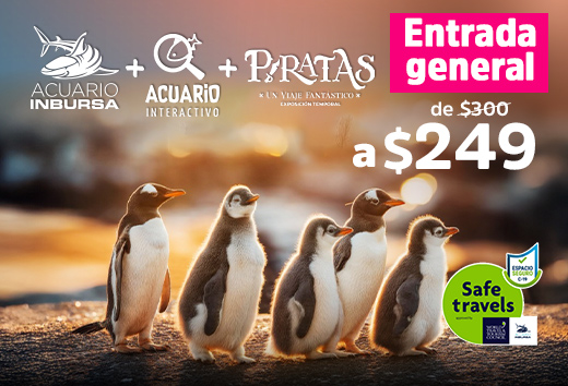 $249 Entrada al Acuario Inbursa + Interactivo + Piratas