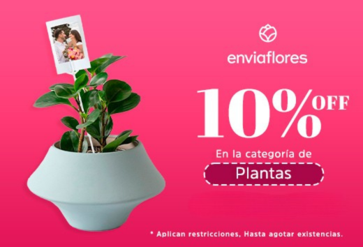 Plantas con 10% OFF