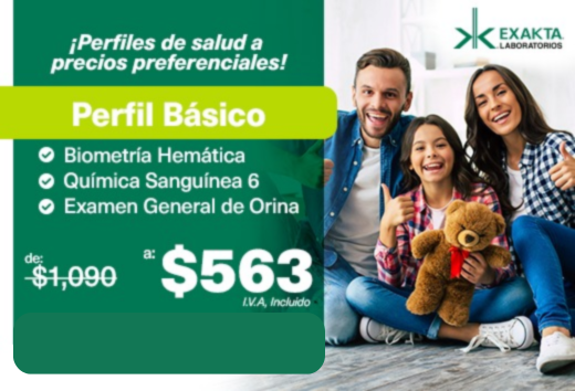 Perfil bÃ¡sico a $563