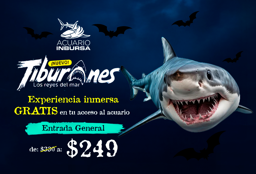 $249 Entrada al Acuario Inbursa + Interactivo 