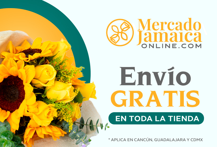 EnvÃ­o GRATIS en toda la tienda de Mercado Jamaica