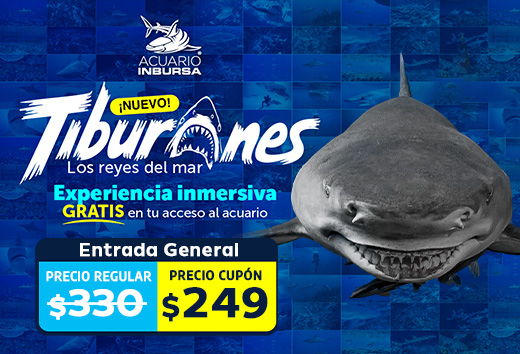 $249 Entrada al Acuario Inbursa + Interactivo 