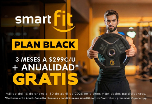 3 meses por $299.00 MXN c/u + mantenimiento gratis