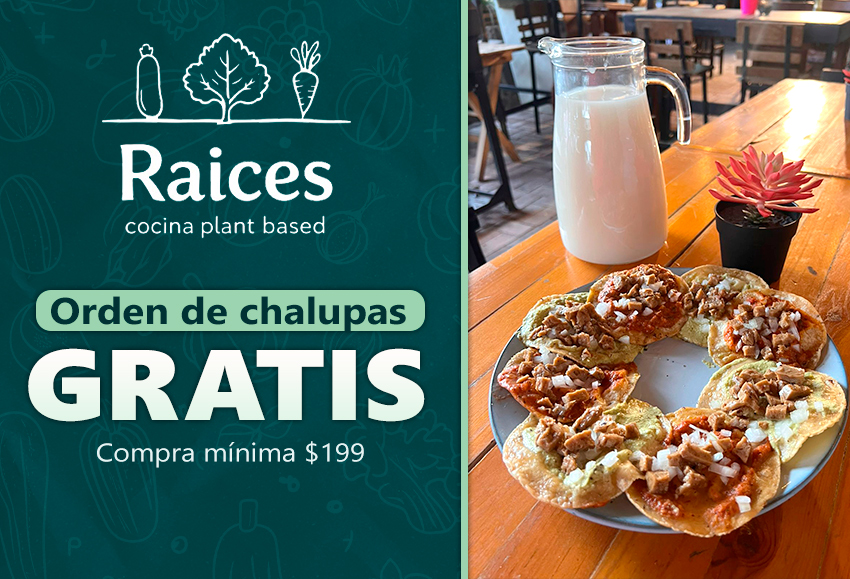 Orden chalupas gratis compra mÃ­nima $199
