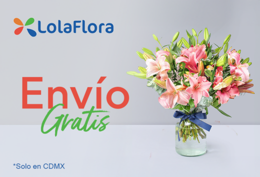 Envío GRATIS en CDMX con LolaFlora