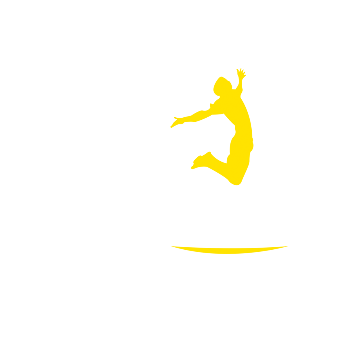 Flexzone Jumping Park