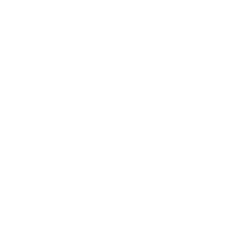Lenovo MX